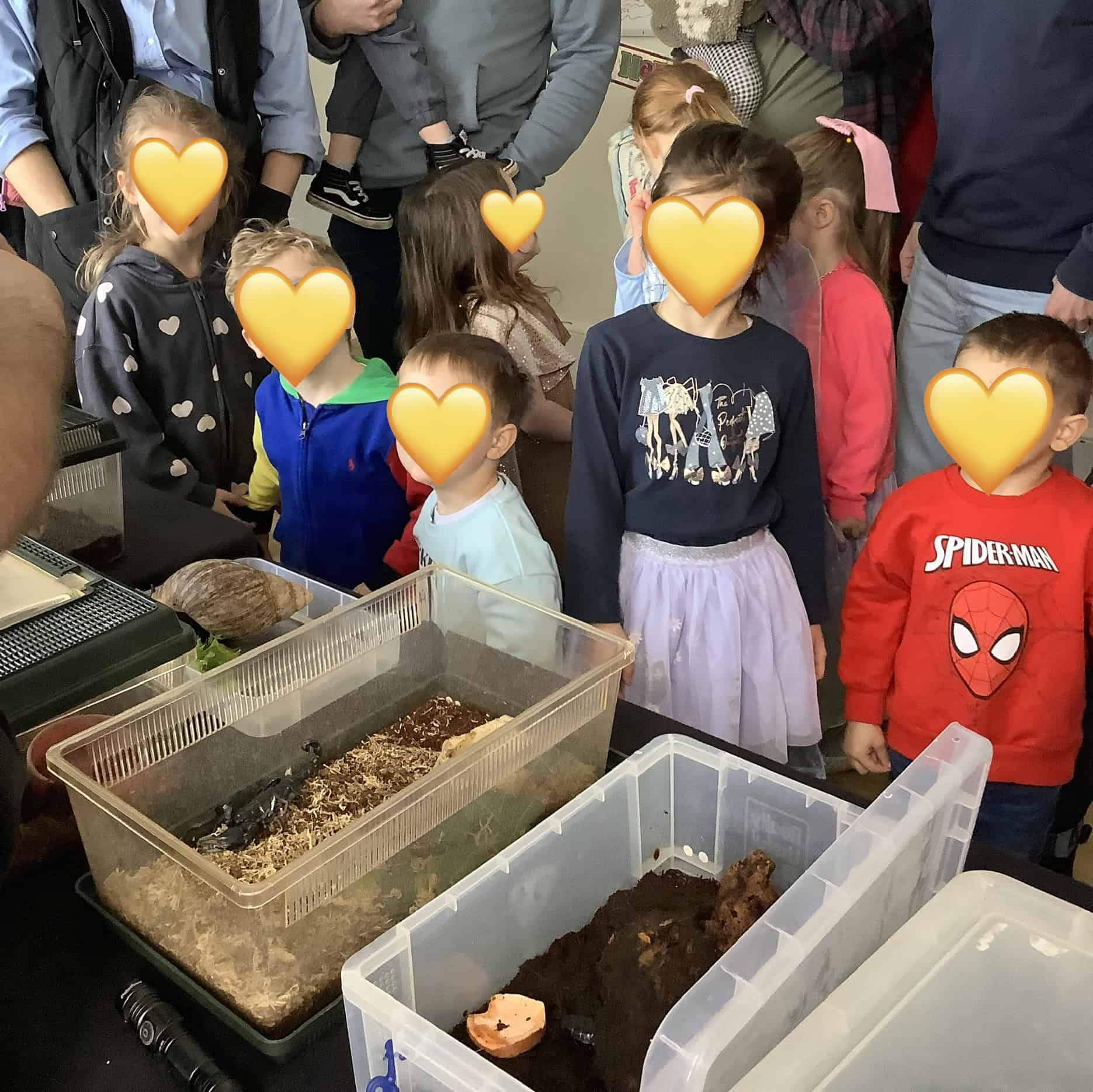Nursery children learning about creepy crawleys