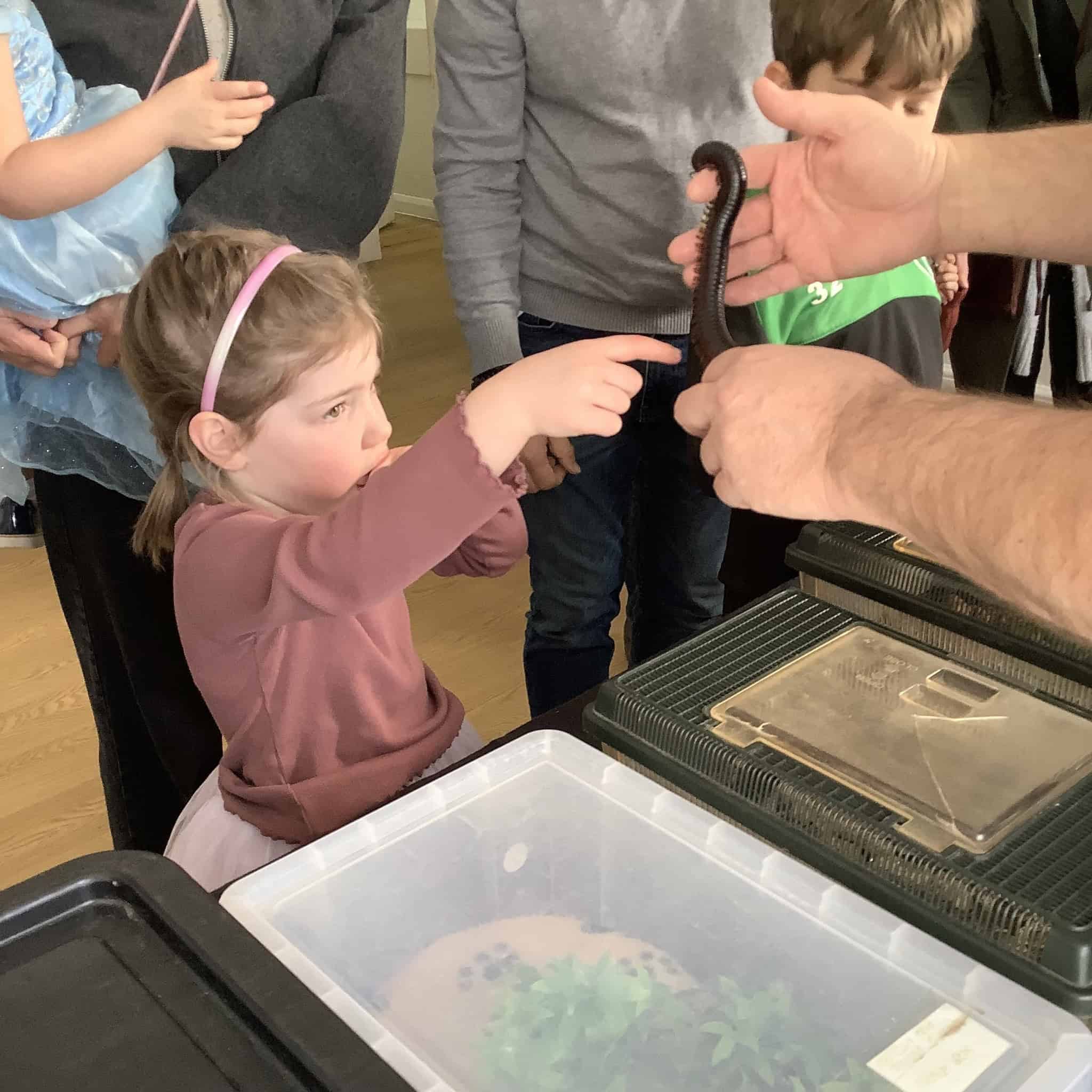 Young girl touching centerpede